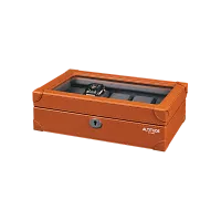 Шкатулка для хранения 10-ти часов 10BRGR-W фото