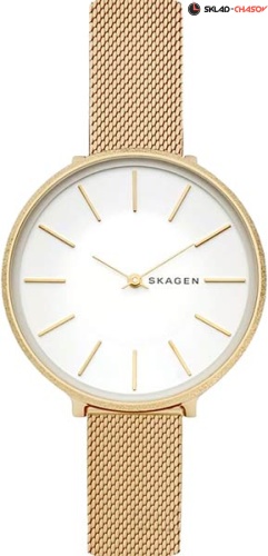 Женские Skagen Karolina SKW2722 фото