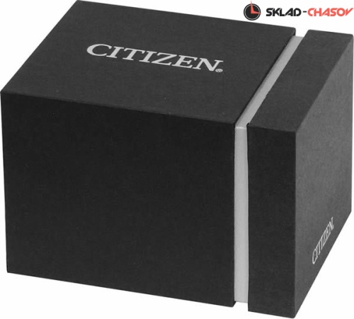 Женские Citizen Eco-Drive EW5556-87D фото фото 2