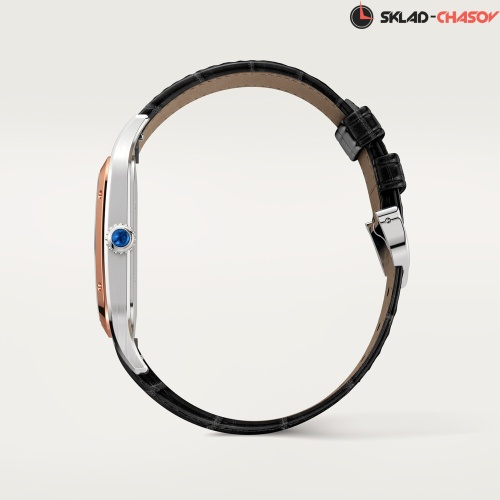 Часы Cartier Santos de Cartier W2SA0017 фото фото 3