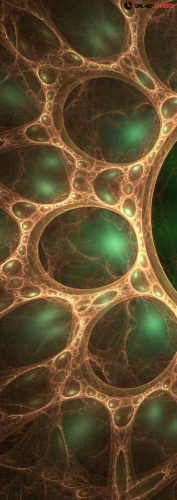 Lowell 07401 фото фото 3