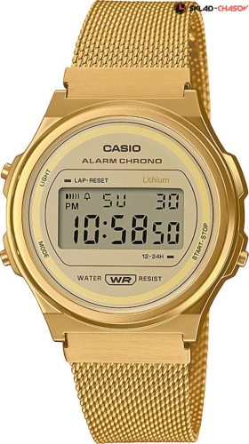 Casio Iconic A171WEMG-9AEF фото