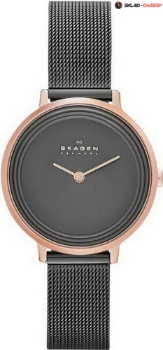 Женские Skagen Mesh SKW2277 фото