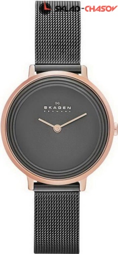 Женские Skagen Mesh SKW2277 фото