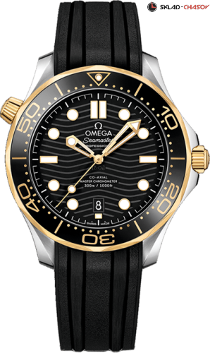 Omega 21022422001001 фото