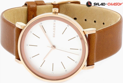 Женские Skagen LEATHER SKW2488 фото фото 2