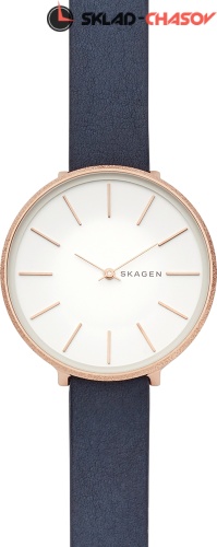 Женские Skagen Karolina SKW2723 фото