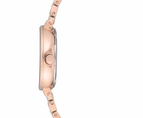 Anne Klein 3386NMRG фото фото 3