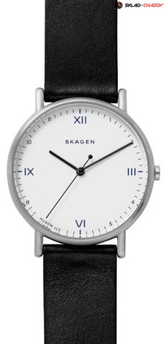 Мужские Skagen Leather SKW6412 фото