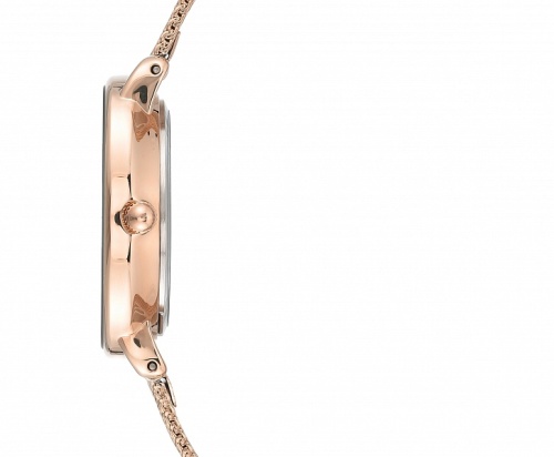 Anne Klein 3686NVRG фото фото 3