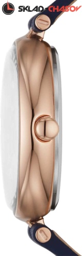 Skagen SKW2981 фото фото 2