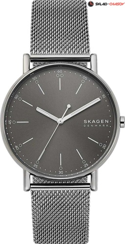 Женские Skagen Signature SKW6577 фото
