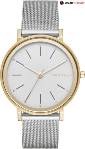 Женские Skagen Hald Steel Mesh Watch SKW2508 фото