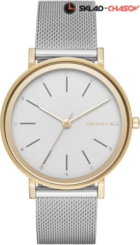 Женские Skagen Hald Steel Mesh Watch SKW2508 фото