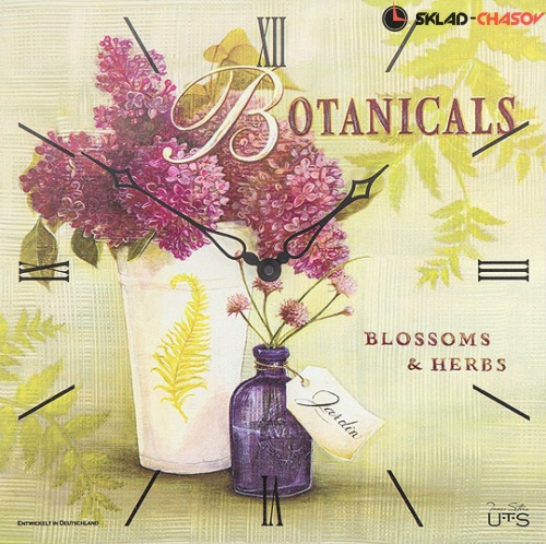 Tomas Stern 6022 фото