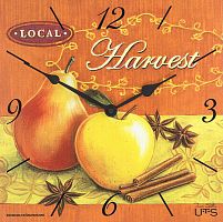 Tomas Stern 6017 фото