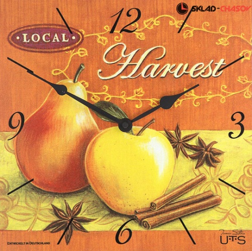 Tomas Stern 6017 фото