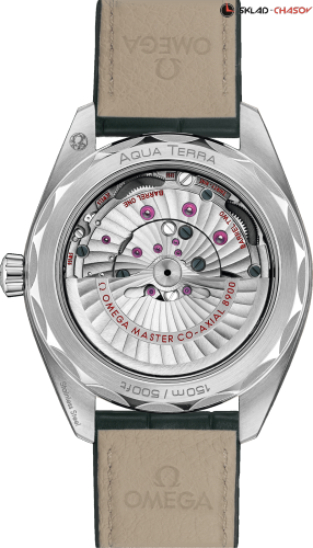 часы Omega Seamaster Aqua Terra 220.13.41.21.10.001 фото фото 2