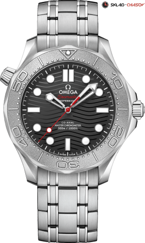 Omega 21030422001002 фото
