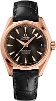 Omega Seamaster 231.53.39.21.06.003 фото