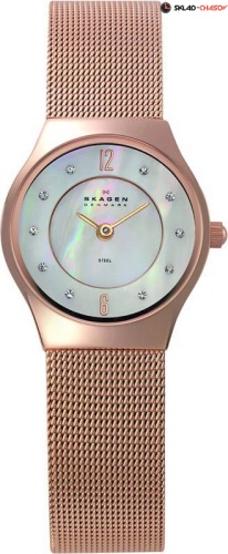Женские Skagen Mesh Classic 233XSRR фото