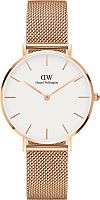 Daniel Wellington DW00100163 фото
