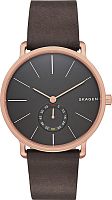 Мужские Skagen LEATHER SKW6213 фото