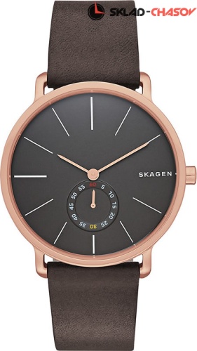 Мужские Skagen LEATHER SKW6213 фото