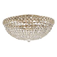 Потолочный светильник Arti Lampadari Asti E 1.2.50.100 G фото