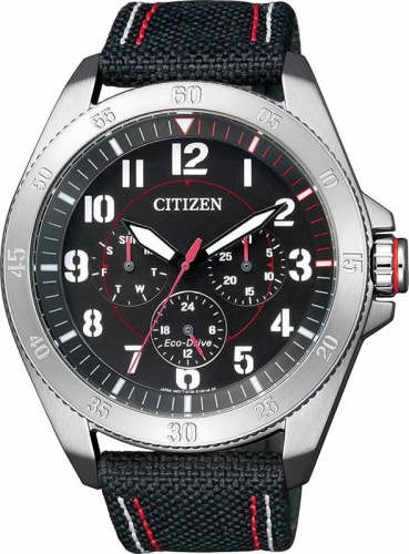 Мужские Citizen Eco-Drive BU2030-17E фото