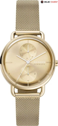 Skagen Horizont SKW2986 фото