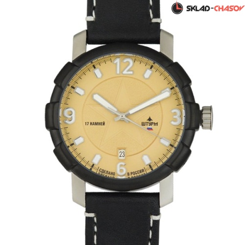 Штурм 4305132 фото