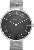 Женские Skagen Mesh SKW2561 фото