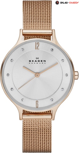 Skagen Mesh SKW2151 фото