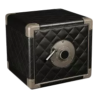 Сейф для автоподзавода 4-х часов SafeBurg 04B фото