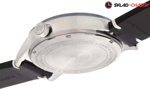 Слава 1246915/300-8205 фото фото 6