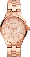 Fossil Modern Sophisticate BQ1561 фото