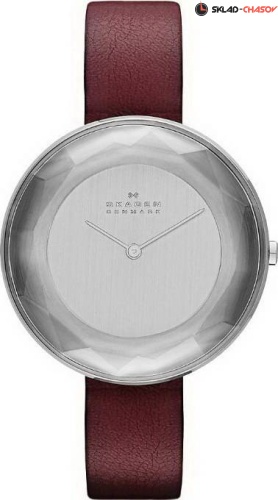 Женские Skagen LEATHER SKW2273 фото