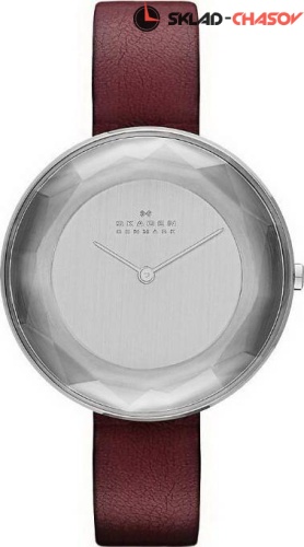 Женские Skagen LEATHER SKW2273 фото