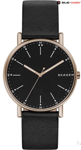 Мужские Skagen Leather SKW6401 фото