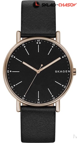 Мужские Skagen Leather SKW6401 фото