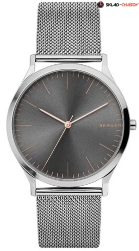 Мужские Skagen Mesh SKW6368 фото