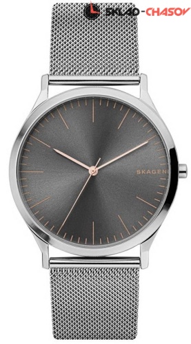 Мужские Skagen Mesh SKW6368 фото