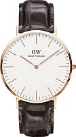 Daniel Wellington DW00100011 фото