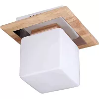 Lucia Tucci Natura 084.1 фото