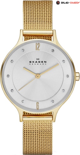 Skagen Mesh SKW2150 фото