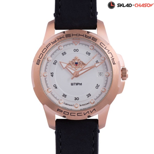 Штурм 1959004 фото