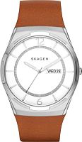 Мужские Skagen LEATHER SKW6304 фото