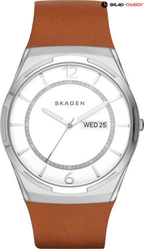 Мужские Skagen LEATHER SKW6304 фото