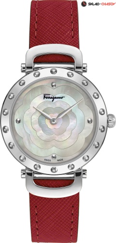 Salvatore Ferragamo SFDM00118 фото